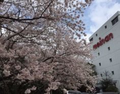 https://www.merrittmachinery.com/wp-content/uploads/2015/08/Meinan-building-Cherry-Blossoms-e1527798520630.jpg